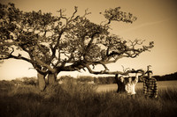 091128-1336A-Edit