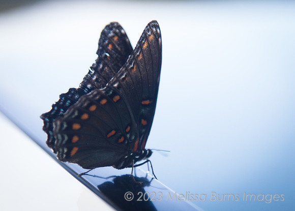 120812-2651A