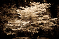 120402-9832A