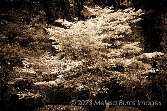 120402-9832A