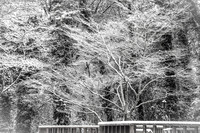 150206-6053A