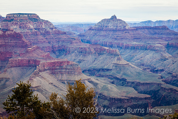 200311_2055